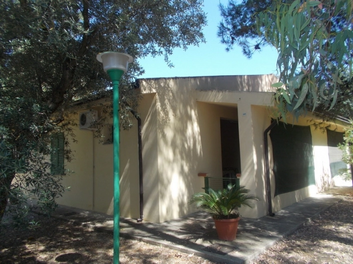 zobacz camping - zdjęcie 31