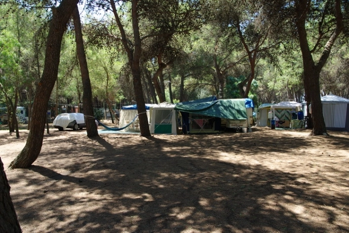 zobacz camping - zdjęcie 29