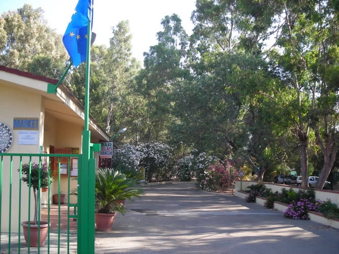 zobacz camping - zdjęcie 28