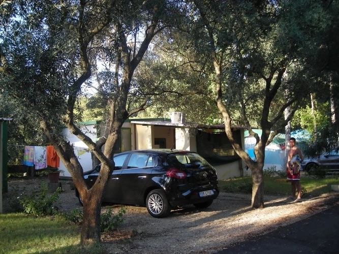 zobacz camping - zdjęcie 25