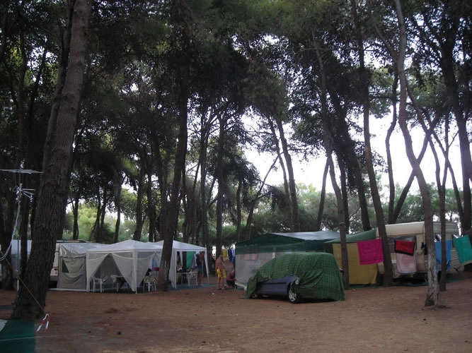 zobacz camping - zdjęcie 24