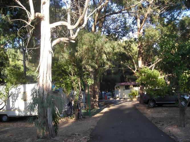 zobacz camping - zdjęcie 23