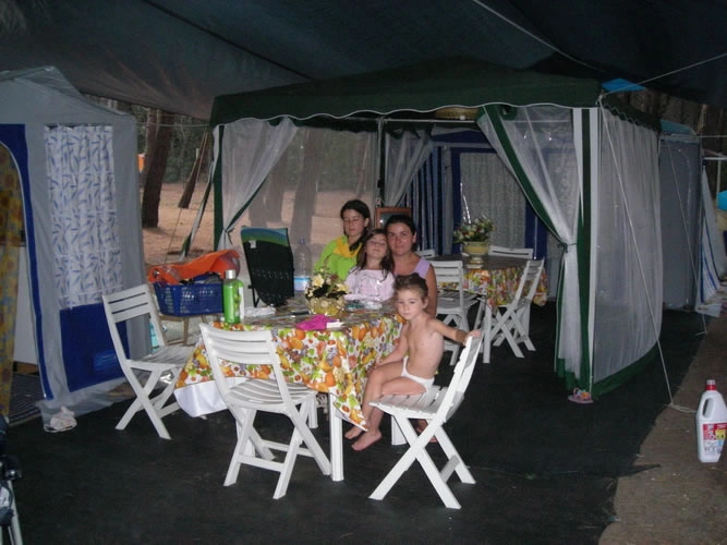 zobacz camping - zdjęcie 20