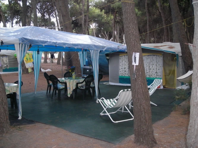 zobacz camping - zdjęcie 17