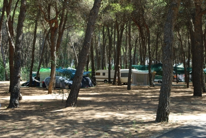 zobacz camping - zdjęcie 16