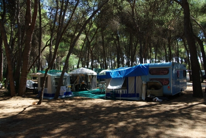 zobacz camping - zdjęcie 12