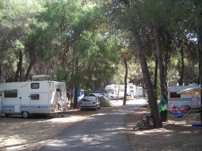 zobacz camping - zdjęcie 10