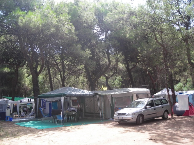 zobacz camping - zdjęcie 9