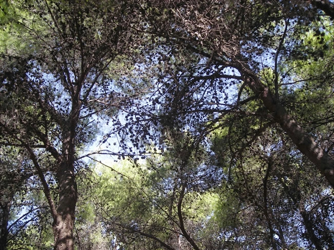 zobacz camping - zdjęcie 7