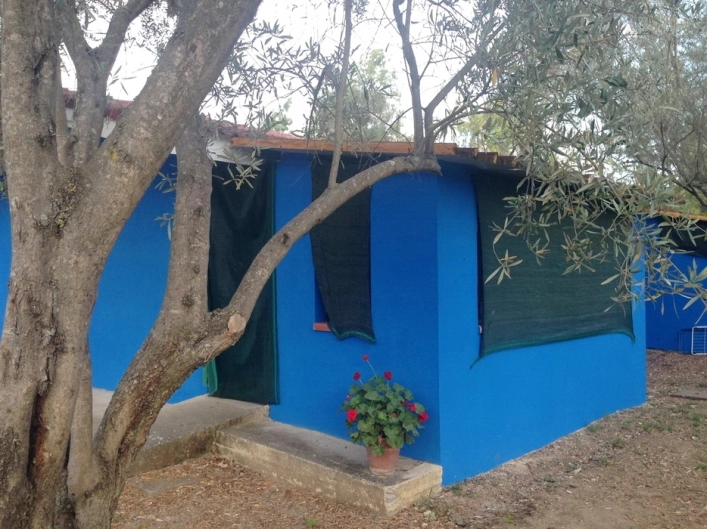 zobacz camping - zdjęcie 5