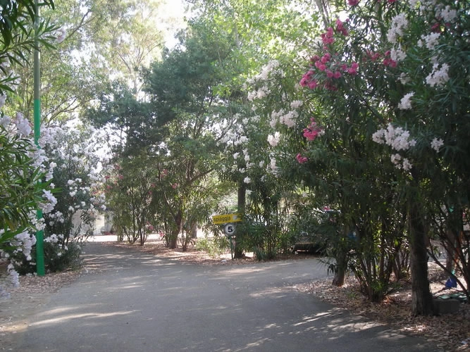 Village Camping Millepini Uno - zdjęcie 1