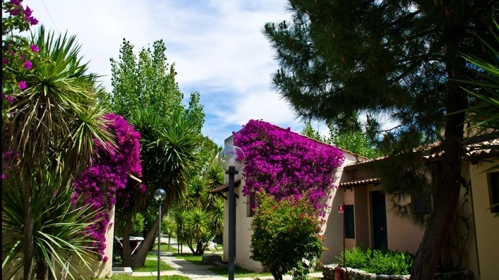 zobacz camping - zdjęcie 10