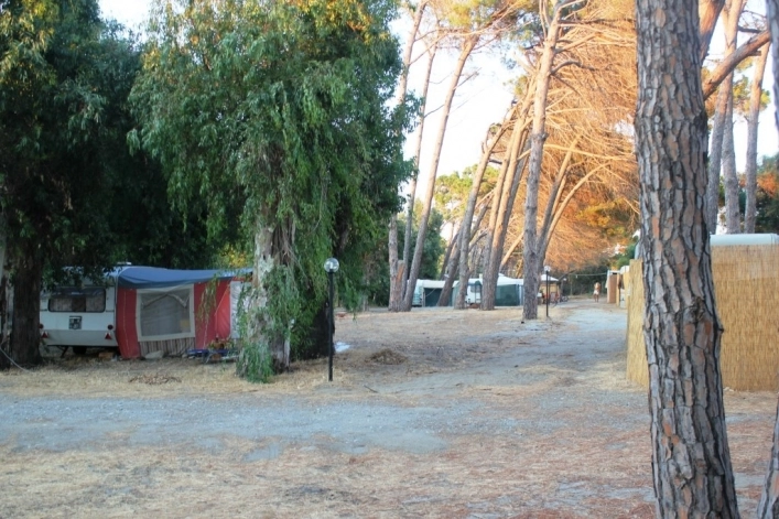 zobacz camping - zdjęcie 8