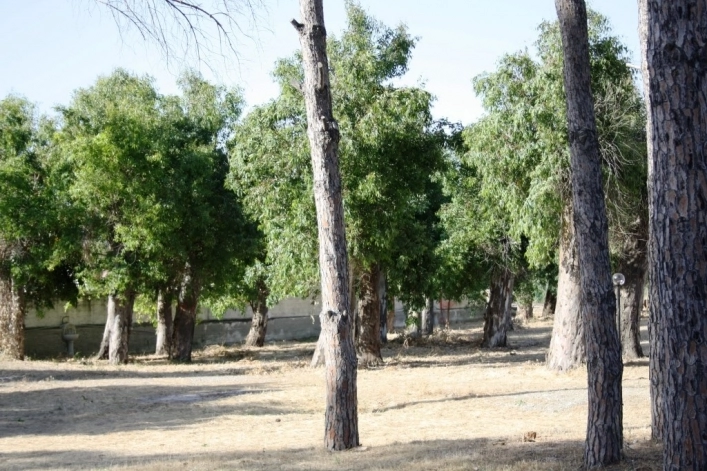 zobacz camping - zdjęcie 7