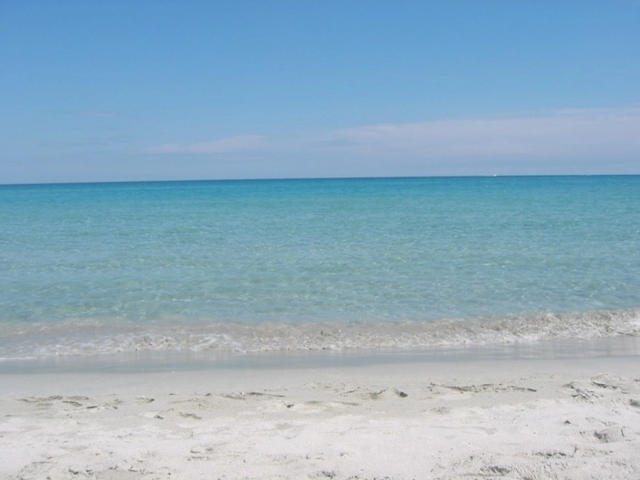 zobacz camping - zdjęcie 5