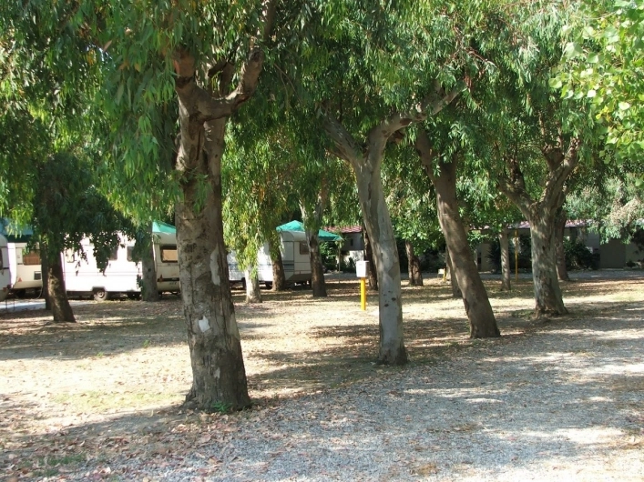 zobacz camping - zdjęcie 48