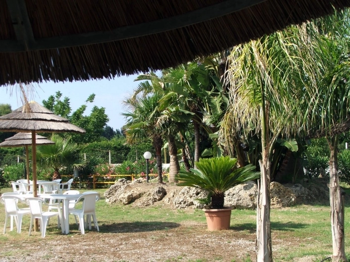 zobacz camping - zdjęcie 43