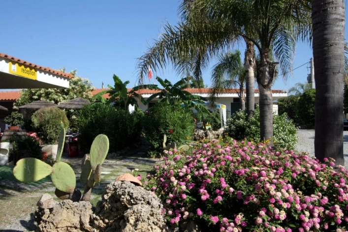 zobacz camping - zdjęcie 40