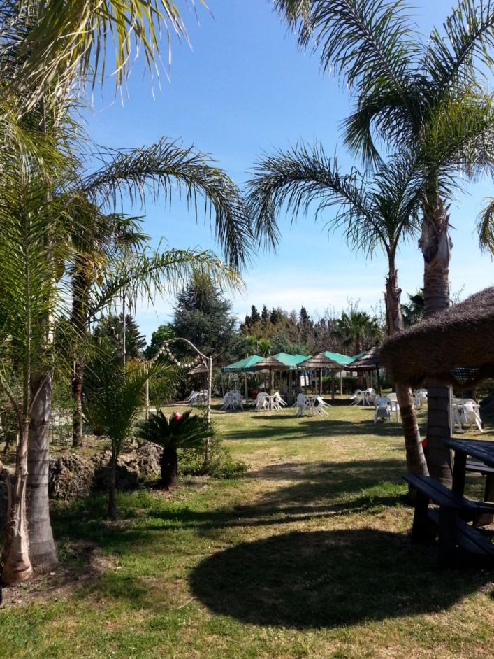 zobacz camping - zdjęcie 29