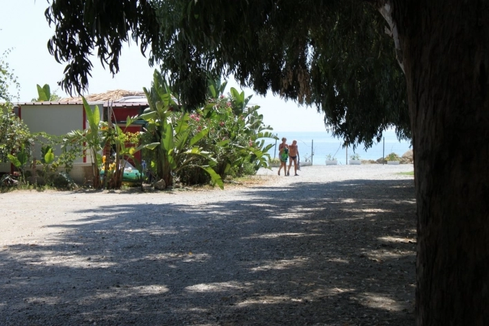 zobacz camping - zdjęcie 26