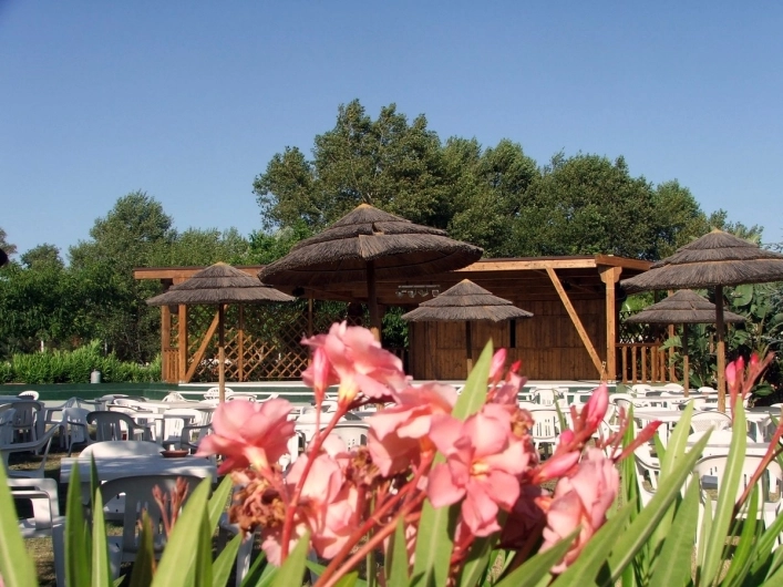 zobacz camping - zdjęcie 24