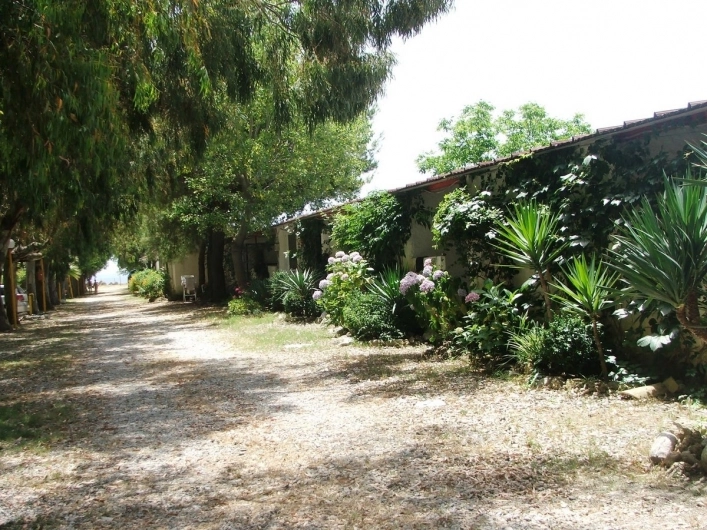 zobacz camping - zdjęcie 19