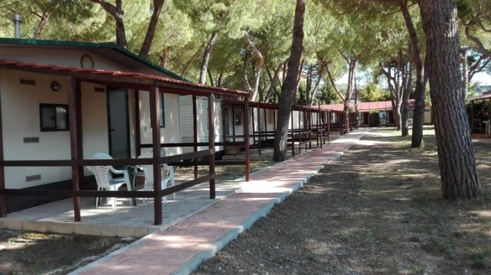 zobacz camping - zdjęcie 27