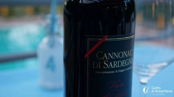 zobacz camping - zdjęcie 10