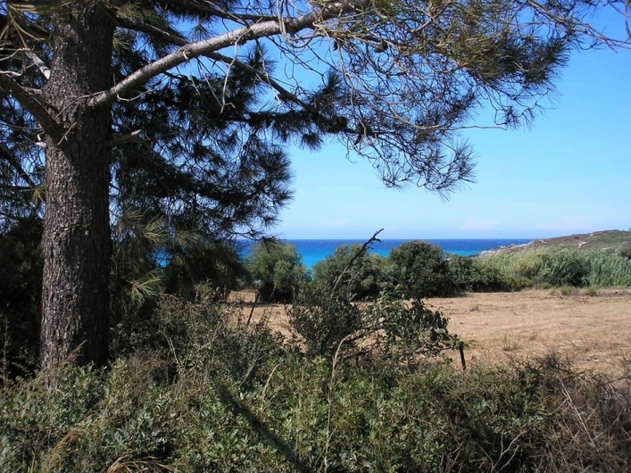 Villaggio Camping Nurral - zdjęcie 4