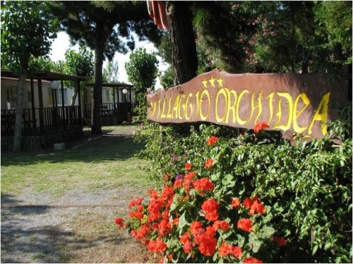 zobacz camping - zdjęcie 2