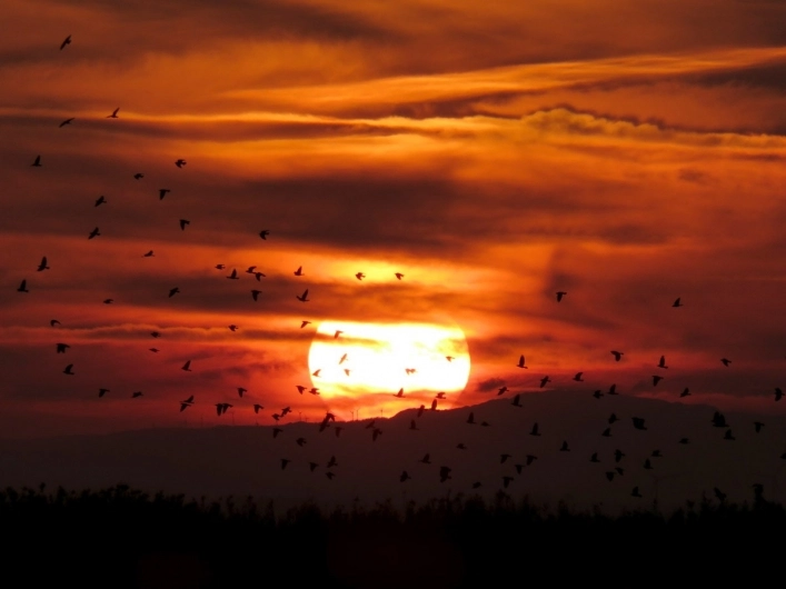 zobacz camping - zdjęcie 12