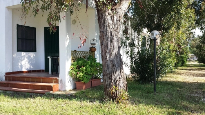 zobacz camping - zdjęcie 8