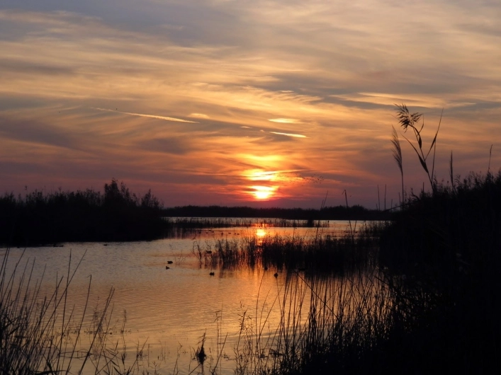 zobacz camping - zdjęcie 6