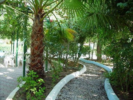 zobacz camping - zdjęcie 28