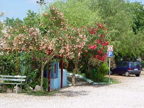 zobacz camping - zdjęcie 27