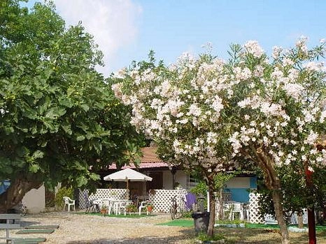 zobacz camping - zdjęcie 22