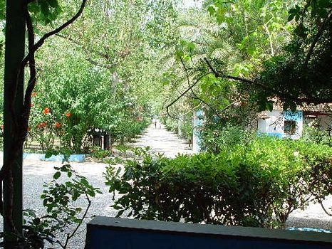 zobacz camping - zdjęcie 17