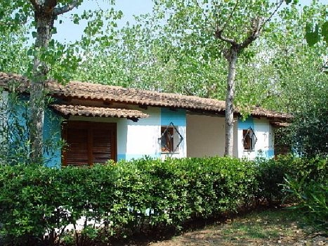 zobacz camping - zdjęcie 14