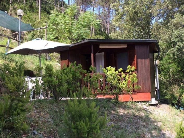 zobacz camping - zdjęcie 19