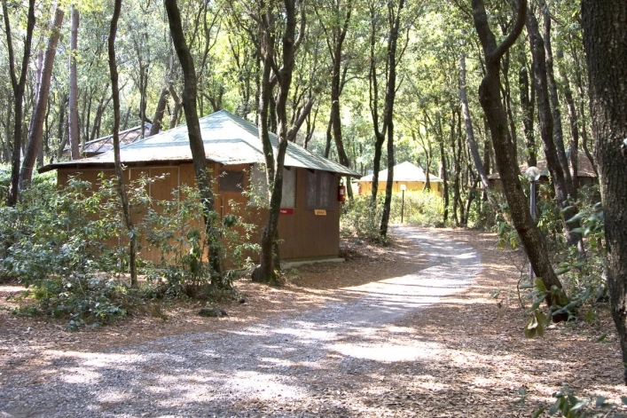 zobacz camping - zdjęcie 29