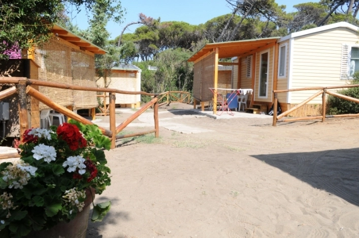 zobacz camping - zdjęcie 9