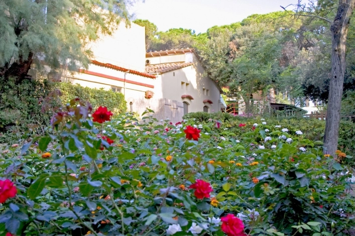 zobacz camping - zdjęcie 6