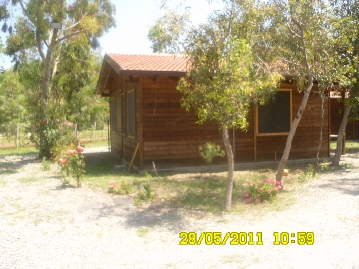 zobacz camping - zdjęcie 14