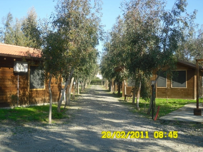 zobacz camping - zdjęcie 13