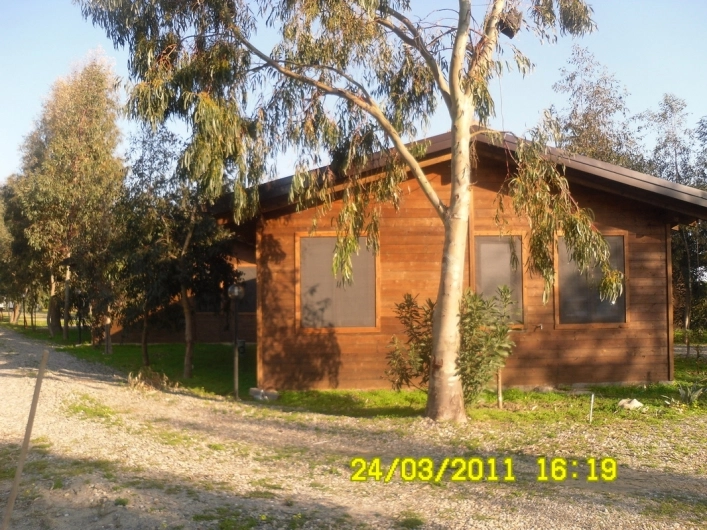 zobacz camping - zdjęcie 9