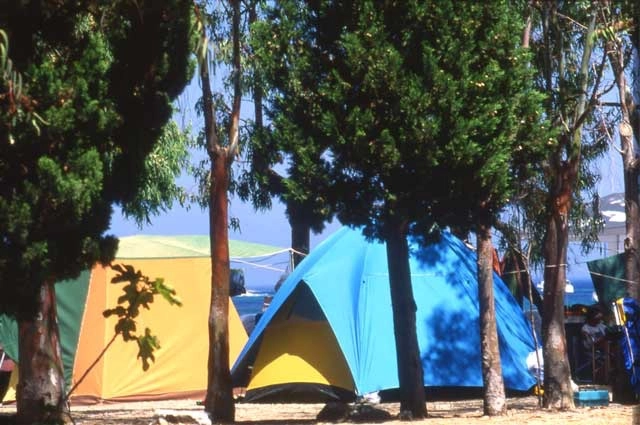 zobacz camping - zdjęcie 6