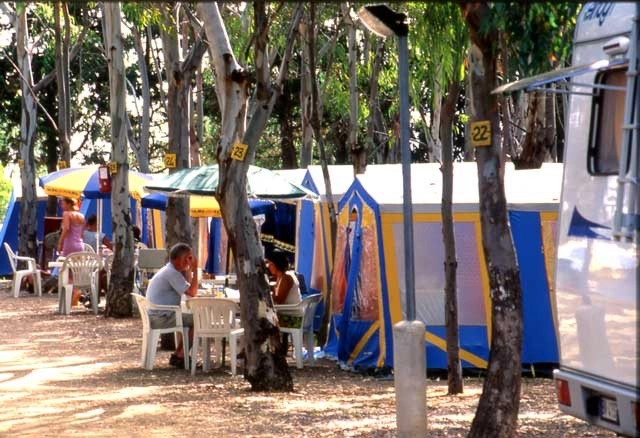 zobacz camping - zdjęcie 5