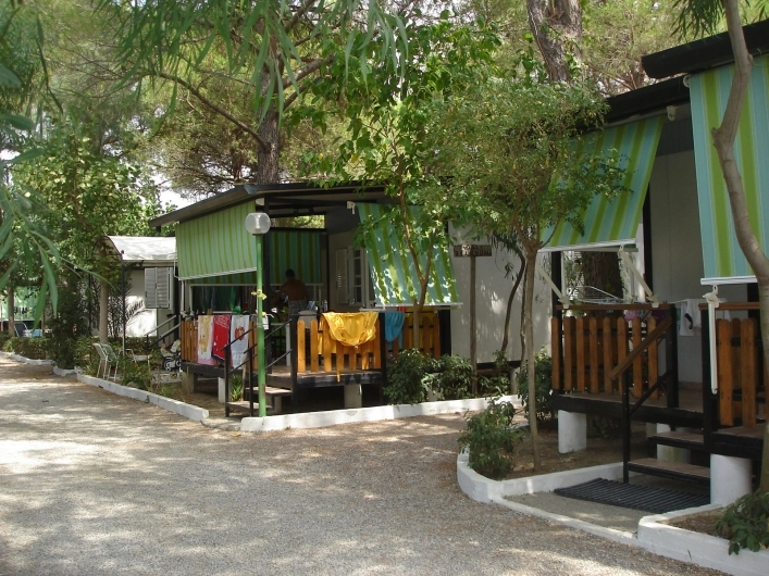 zobacz camping - zdjęcie 9