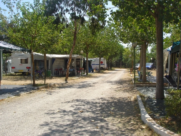 zobacz camping - zdjęcie 5