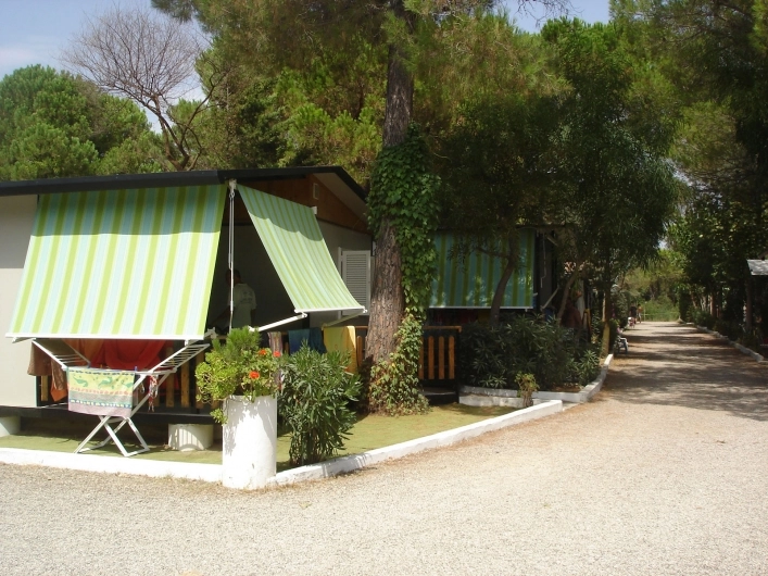 zobacz camping - zdjęcie 2